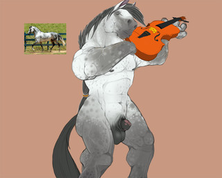 abs animal_genitalia animal_penis anthro balls biceps big_muscles biped black_nipples bowed_string_instrument darkened_balls darkened_genitalia darkened_sheath equine_genitalia equine_penis eyes_closed fur genitals grey_body grey_fur grey_hair hair holding_object male muscular muscular_anthro muscular_male musical_instrument nipples nude pecs penis penis_tip photo playing_music playing_violin pose presenting sheath solo standing string_instrument vein violin narse equid equine horse mammal 5:4