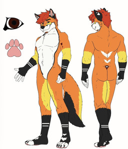 anthro male solo zeno_wattson canid canine fox mammal red_fox true_fox hi_res model_sheet