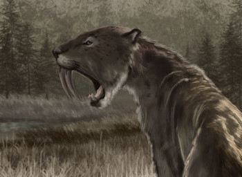 evergreen_tree fangs feral forest fur grass markings pine_tree plant sabertooth_(anatomy) sharp_teeth solo spots spotted_body spotted_fur teeth tree whiskers mihin89 felid mammal prehistoric_species saber-toothed_tiger smilodon 2017