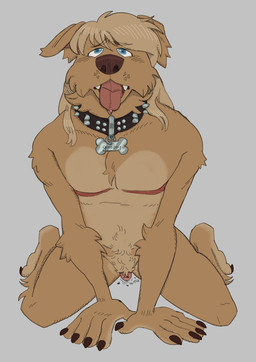 andromorph anthro bdsm big_clitoris blonde_hair blue_eyes bodily_fluids clitoris collar drooling flat_chested genitals hair intersex mastectomy_scar petplay pubes roleplay saliva scar sitting sitting_on_ground solo t_dick throbbing throbbing_vulva twitching visibly_trans vulva azaroteu bird_dog canid canine canis domestic_dog golden_retriever hunting_dog mammal retriever absurd_res flat_colors hi_res trans_(lore) trans_man_(lore)