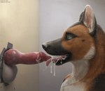 animal_genitalia animal_penis anthro balls bodily_fluids brown_body brown_fur canine_genitalia canine_penis cum cum_drip cum_in_mouth cum_inside cumshot cumshot_in_mouth detailed_fur detailed_penis dripping duo ejaculation erection face_closeup fellatio fur genital_fluids genitals glory_balls glory_hole knot male male/male oral penile penis sex side_view text tongue tongue_out virtyalfobo lokoti canid canine canis domestic_dog german_shepherd herding_dog mammal pastoral_dog 2023 absurd_res bust_portrait detailed hi_res portrait shaded url