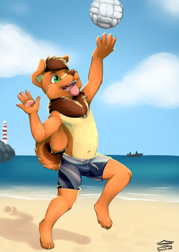 bastion beach canine cub detailed_background dog mammal mane outside rijan sand sea seaside sky sport volleyball water young
Rating: Safe
Score: 3
User: Rijan
Date: July 15, 2018 bastion beach canine cub detailed_background dog mammal mane outside rijan sand sea seaside sky sport volleyball water young
Rating: Safe
Score: 3
User: Rijan
Date: July 15, 2018