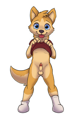 anthro balls blue_eyes bottomless circumcised circumcision_scar clothed clothing clothing_lift erection footwear fur genital_scar genitals humanoid_genitalia humanoid_penis male penis presenting presenting_penis scar shirt shirt_lift socks solo tan_body tan_fur tongue tongue_out topwear young young_anthro unknown_artist canid canine canis domestic_dog mammal hi_res source_request