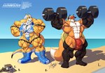 abs anthro beach big_muscles biped clothing female huge_muscles hyper hyper_muscles lifeguard lifeguard_swimsuit macro male muscular muscular_anthro muscular_female muscular_male outside plantigrade sea sky swimwear tail water agonwolfe veegrowmon canid canine fox mammal digital_media_(artwork) hi_res