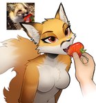 amber_eyes anthro bedroom_eyes big_tail breasts dipstick_tail disembodied_hand duo eating featureless_breasts feeding female female_anthro fluffy fluffy_chest fluffy_tail food fruit fur inner_ear_fluff markings narrowed_eyes navel nude nude_anthro nude_female orange_body orange_fur photo_reference plant seductive simple_background small_breasts strawberry tail tail_markings tuft white_background white_body white_fur illine canid canine fox human mammal 2025 digital_media_(artwork) reference_image