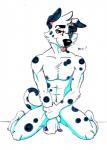 abs anthro biped black_body black_fur black_spots covering covering_self fur kneeling looking_at_viewer male markings modesty presenting solo spots spotted_body spotted_fur white_body white_fur fisis dogbert canid canine canis dalmatian domestic_dog mammal hi_res traditional_media_(artwork)