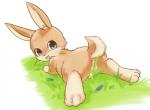 blue_eyes blush brown_body brown_fur butt convenient_censorship female feral fur genitals grass looking_at_viewer open_mouth paws plant pussy solo rag._(artist) lagomorph leporid mammal rabbit 2017