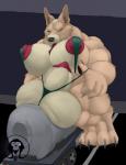 animal_genitalia animal_penis anthro balls big_balls big_breasts big_feet big_muscles big_nipples big_penis big_sheath breasts canine_genitalia canine_penis claws digitigrade eyes_closed feet genitals gynomorph huge_balls huge_breasts huge_penis huge_sheath hyper hyper_balls hyper_genitalia hyper_penis hyper_sheath intersex macro muscular muscular_anthro muscular_arms muscular_gynomorph muscular_intersex muscular_legs nipples pawpads paws penis penis_tip sheath short_stack solo thick_thighs tongue trailer_(vehicle) truck_bed xatanlion wessi_breithuft_(xatanlion) canid canine canis domestic_dog herding_dog mammal pastoral_dog welsh_corgi