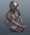 anthro black_body black_fur clothed clothing crossdressing crouching dog_tags dress fur hair high-angle_view male man_in_a_dress sitting solo translucent translucent_clothing translucent_dress white_hair kashikomishotta absurd_res hi_res