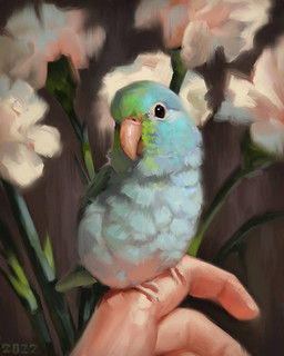 beak black_eyes blue_body blue_feathers feathers feral flower green_body green_feathers humanoid_hands multicolored_body multicolored_feathers on_hand pale_skin perching plant solo tan_beak teal_body teal_feathers alexpahomov pacific_parrotlet 2022 digital_media_(artwork) digital_painting_(artwork) painting_(artwork)