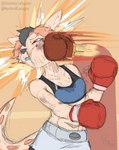 anthro blood bodily_fluids boxing boxing_attire boxing_gloves breasts clothing duo female fighting_ring handwear nosebleed punching_face sport sweat sweaty_breasts chamma_retsuden masteroflasagna olletta macropod mammal marsupial wallaby hi_res