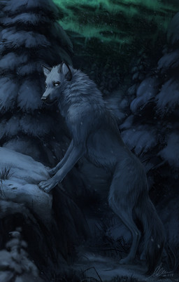 aurora_(phenomenon) black_nose dark digitigrade feral fur night outside paws plant quadruped sky snow solo standing star starry_sky tree white_body white_fur winter aurru canid canine canis mammal wolf 2018 digital_media_(artwork) hi_res