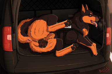 animal_genitalia animal_vulva anus bodily_fluids breath butt canine_genitalia canine_vulva car clothing female female_feral feral genitals looking_at_viewer lying on_side police police_car police_dog police_uniform police_vehicle presenting presenting_anus presenting_hindquarters presenting_vulva raised_leg saliva saliva_on_tongue saliva_string solo tongue tongue_out uniform vehicle vulva parooty chevrolet chevrolet_tahoe quiver_(barndog) canid canine canis domestic_dog german_shepherd herding_dog mammal pastoral_dog 3:2