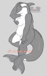 anthro breasts cetacean chubbie dolphin female mammal marine nipples nude oceanic_dolphin orca overweight slightly_chubby temrin thick_thighs toothed_whale vancoufur vf2024