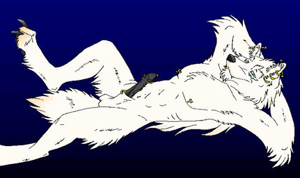 abs animal_genitalia anthro blue_eyes erection fur genitals male penis piercing sheath solo tail unsigned white_body white_fur redwolf_moon mythology canid canine canis mammal mythological_canine mythological_creature werecanid werecanine werecreature werewolf wolf