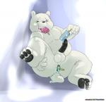 anal anal_penetration balls cold_insertion eating food genitals improvised_dildo improvised_sex_toy male penetration penis popsicle slightly_chubby solo ursofofinho cartoon_network we_bare_bears ice_bear_(we_bare_bears) bear mammal polar_bear ursine