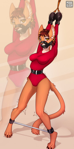4_toes anthro bdsm belt bondage bondage_gear bondage_gloves bound breasts camel_toe clothing ear_piercing ear_ring feet female handwear leg_spreader muzzle_(object) muzzled paws piercing restraints ring_piercing rope solo spreader_bar standing toes wrists_together moddish domestic_cat felid feline felis mammal 2021 digital_media_(artwork) hi_res