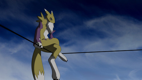canine digimon fox renamon solo wallpaper
Rating: Safe
Score: 12
User: Eisenknurren
Date: April 13, 2012