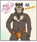 2014 anthro artdecade bear biceps bottomwear bulge clothed clothing fur japanese_text kaupinam loincloth looking_at_viewer male mammal muscular muscular_anthro muscular_male neck_tuft pecs pose simple_background sloth_bear smile solo teeth text topless tuft underwear underwear_festival ursine willy_(artdecade)