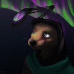 anthro aurora_(phenomenon) black_nose brown_body brown_fur clothed clothing detailed_background female fluffy fur glistening glistening_body glistening_eyes green_eyes headgear headwear hood light night realistic sky smile solo star starry_sky three-quarter_view whiskers hyacinth1971 laika_aged_through_blood dalia_(laika_aged_through_blood) canid canine canis domestic_dog mammal 2025 bust_portrait colored digital_drawing_(artwork) digital_media_(artwork) hi_res lighting portrait shaded signature