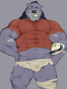 anthro athlete bandage barazoku beard big_muscles black_hair black_nose bottomwear bulge clothing facial_hair fur grey_body grey_fur hair male muscular muscular_anthro muscular_male rugby shorts solo tight_clothing thedragonred12 bear mammal 2017 hi_res