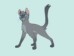 ambiguous_gender blue_background blue_eyes feral fur grey_body grey_fur simple_background solo barkfur_(artist) warriors_(book_series) fan_character domestic_cat felid feline felis mammal 2023 4:3 full-length_portrait hi_res portrait