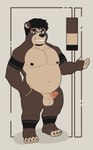 anthro balls erection genitals male navel nipples nude penis solo acario_(artist) acario bear mammal short-faced_bear spectacled_bear absurd_res hi_res model_sheet