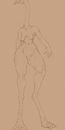 anthro areola beak breasts featureless_crotch female front_view long_neck mouth_closed navel nipples non-mammal_breasts non-mammal_navel non-mammal_nipples nude sagging_breasts simple_background solo standing unsigned wide_hips upai avian bird palaelodus absurd_res full-length_portrait hi_res monochrome portrait