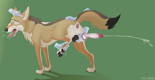 anatomically_correct anatomically_correct_genitalia animal_genitalia animal_penis anthro anthro_on_feral anus balls bestiality bodily_fluids canine_genitalia canine_penis cum cumshot disembodied_hand ejaculation erection feral genital_fluids genitals ghost_hand handjob knot knot_root knot_root_grab knotted_penis male orgasm orgasm_face penile penis penis_backwards sex sheath solo tongue tongue_out sketch_houndog canid canine canis coyote mammal absurd_res hi_res