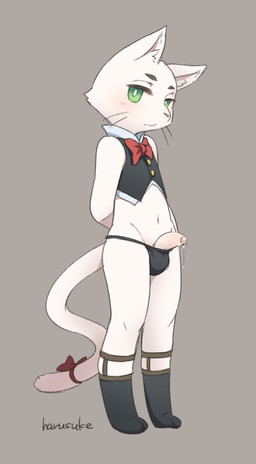 accessory anthro biped bodily_fluids bow_(feature) bow_accessory bow_ribbon bow_tie bulge clothed clothing dripping erection femboy footwear foreskin furgonomics g-string genital_fluids genitals green_eyes kemono legwear looking_at_viewer male navel penis penis_poking_out precum ribbons shota simple_background sock_garters sock_suspenders socks solo standing tail tail_accessory tail_bow tail_ribbon underwear waiter young young_anthro young_male harusuke domestic_cat felid feline felis mammal 2016 hi_res
