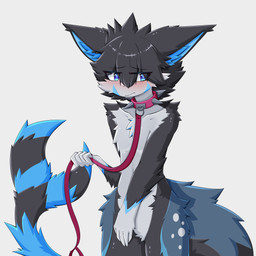 5_fingers anthro arm_markings arm_tuft black_body black_fur black_hair black_nose blue_body blue_eyes blue_fur blue_inner_ear blue_inner_ear_fluff blue_markings blush chest_tuft collar crotch_tuft ear_up elbow_tuft embarrassed eye_through_hair eyebrow_through_hair eyebrows facial_tuft fingers fluffy fluffy_tail forked_tail fur glistening glistening_body gloves_(marking) hair hip_tuft holding_object inner_ear_fluff lips looking_sideways male male_anthro markings navel red_collar red_lips shoulder_tuft simple_background solo spiked_collar spikes spots striped_markings striped_tail stripes tail tail_markings tail_tuft translucent translucent_hair tuft unusual_anatomy unusual_tail white_background white_body white_fur white_spots gaogomon canid hybrid mammal 1:1 2025 absurd_res hi_res portrait three-quarter_portrait