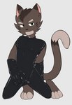 anthro brown_body brown_fur bulge clothed clothing eyebrows fur gloves green_eyes handwear holding_bulge kneeling latex latex_clothing latex_gloves latex_handwear latex_skinsuit looking_at_viewer male rubber_clothing simple_background skinsuit smile solo tail tight_clothing nakatakoi wav_(nakatakoi) domestic_cat felid feline felis mammal hi_res