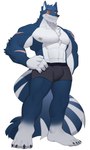 abs absurd_res anthro blue_body blue_fur canid canine canis fur hachi_duchi hi_res male mammal muscular nipples pecs simple_background solo white_background