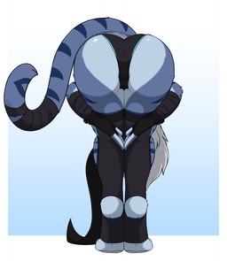 anthro ass_up bent_over blue_body blue_fur butt camel_toe clothing digitigrade feet female fingerless_gloves flexible folded fur gloves hair hands_together handwear hugging_legs legs_together legwear pawpads rear_view solo standing striped_body striped_fur stripes upside_down white_hair infinitedge praise_da_booty_(meme) aegis_(infinitedge) felid mammal pantherine tiger 2026