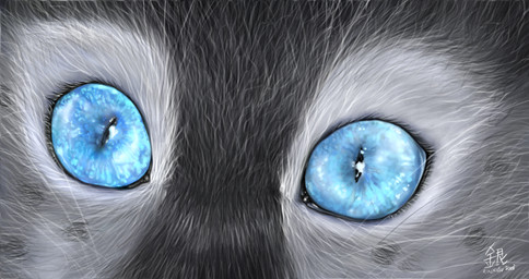 ambiguous_gender blue_eyes eye_shot glowing glowing_eyes looking_at_viewer solo whiskers silver_lynx_69 felid mammal source_request