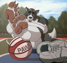 4_toes anthro ball barefoot basketball basketball_(ball) black_body black_fur blue_clothing bottomwear brown_eyes brown_hair brown_pawpads claws clothed clothing facial_hair feet foot_fetish foot_focus footwear fur goatee grey_body hair humanoid_feet looking_at_viewer male male_anthro multicolored_body multicolored_fur outside pawpads paws plant plantigrade shoes shorts sitting smile sneakers soles solo tail toe_claws toes topless tree two_tone_body two_tone_fur white_body white_fur wrinkled_feet wrinkles pinwin border_collie canid canine canis collie domestic_dog herding_dog mammal pastoral_dog sheepdog hi_res