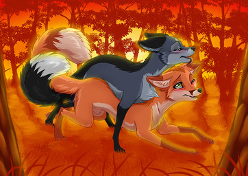 all_fours animal_genitalia blush detailed_background duo female feral forest from_behind_position fur genitals green_eyes grey_body grey_fur licking male outside plant sex sheath sunset tongue tongue_out tree rukifox canid canine fox mammal 2015