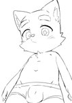 anthro balls_outline blush bulge clothed clothing detailed_bulge eyebrows fingers genital_outline looking_at_viewer looking_down looking_down_at_viewer male navel nipples penis_outline pupils simple_background solo underwear underwear_only unusual_pupils white_background young young_anthro young_male hosineyuu hoshine_yu canid canine mammal 2025 absurd_res hi_res japanese_description monochrome