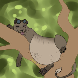 4_toes abdominal_bulge after_vore belly big_belly black_claws black_nose blep blurred_background bodily_noises branch brown_body brown_fur claws eyes_closed eyewear feet female feral fur goggles grey_body grey_fur in_tree lying mostly_nude offscreen_character on_branch on_front oral_vore outside pawpads paws plant quadruped relaxing rumbling_stomach side_view smile soft_vore solo sound_effects tail tail_tuft text toes tongue tongue_out tree tuft vore pippuri felid lion mammal pantherine 1:1 2015 absurd_res digital_drawing_(artwork) digital_media_(artwork) english_text hi_res