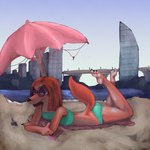 anthro beach feet female paws solo daki_woo illumination_entertainment sing_(movie) suki_lane canid canine mammal absurd_res hi_res