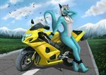 2023 3_toes 5_fingers absurd_res alexandradane ambient_bird ambient_flier anthro areola biker biker_girl biped blue_body blue_fur blurred_background breasts canid canine canis chain claws cloud day detailed_background digital_media_(artwork) digital_painting_(artwork) digitigrade feet female female_anthro fingers flower forest fur grass grey_hair hair hi_res hindpaw hybrid looking_at_viewer mammal motorcycle mountain nipple_chain nipple_piercing nipples paws piercing plant sky solo toe_claws toes tree vehicle white_body white_fur white_hair wolf yellow_eyes
