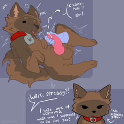 animal_genitalia animal_penis balls bodily_fluids breath canine_genitalia canine_penis collar collar_only cum erection feral fur genital_fluids genitals knot looking_pleasured lying male masturbation motion_lines nude on_back open_mouth panting penis tail text godforgiveme4 heartbound baron_(heartbound) canid canine canis domestic_dog german_shepherd herding_dog mammal pastoral_dog 1:1 digital_media_(artwork) hi_res watermark