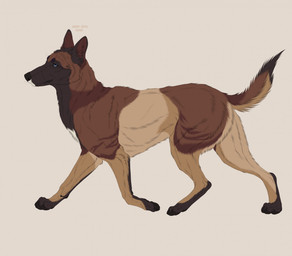ambiguous_feral ambiguous_gender black_body black_fur black_nose black_pawpads blue_eyes brown_body brown_fur feral fur mouth_closed pawpads side_view simple_background solo tan_body tan_fur text walking msdeadsoul canid canine canis domestic_dog mammal 2025 artist_name dated hi_res