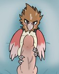 4:5 ambiguous_gender avian beak bed biped bird black_eyes black_outline blush bodily_fluids brown_body brown_feathers claws countershading cum cum_on_face digital_media_(artwork) duo feathered_wings feathers feet feral ferrissimulator foot_fetish foot_play footjob full-length_portrait furniture generation_1_pokemon genital_fluids genitals holding_penis humanoid_genitalia humanoid_penis lying nintendo nude on_back on_bed outline penis pokemon pokemon_(species) portrait red_body red_feathers sex size_difference solo_focus spearow talonjob talons toes two-footed_footjob wings