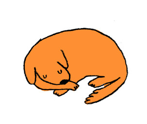 3_toes ambiguous_gender black_nose black_outline eyes_closed feet feral floppy_ears fur lying orange_body orange_fur outline simple_background sleeping solo sound_effects tail toes vowelless vowelless_sound_effect white_background zzz alabaster_pizzo canid canine canis domestic_dog mammal 2015 animated