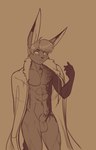 abs animal_genitalia anthro chest_tuft cloak clothing dipstick_ears ear_markings genitals hair inner_ear_fluff male multicolored_ears navel nude scar sheath short_hair solo tuft yellow_eyes scorpdk jake_(scorpdk) canid canine canis jackal mammal hi_res