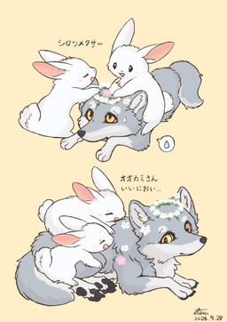 4_toes ambiguous_gender black_nose black_pawpads blush bodily_fluids countershading eyes_closed feet feral flower flower_accessory flower_crown flower_necklace fluffy fur grey_body grey_fur group inner_ear_fluff larger_feral lying monotone_body monotone_fur multicolored_body multicolored_fur on_front open_mouth open_smile pawpads paws plant quadruped simple_background sitting size_difference smaller_feral smile speech_bubble sweat sweatdrop tail text toes trio tuft two_tone_body two_tone_fur white_body white_fur yellow_eyes fusau canid canine canis lagomorph leporid mammal rabbit wolf 2024 digital_media_(artwork) japanese_text signature