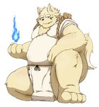 anthro belly clothing kemono magic male overweight overweight_anthro overweight_male robe simple_background solo white_background ibuki_haruno canid canine fox mammal 2013 hi_res