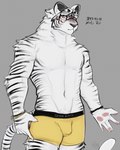 anthro athletic athletic_anthro athletic_male beaded_bracelet beaded_jewelry beads black_body black_fur black_stripes blush bracelet bulge clothed clothing fur jewelry looking_at_viewer male male_anthro markings pawpads pubes shy simple_background solo striped_body striped_fur striped_markings striped_tail stripes tail tail_markings text topless topless_anthro topless_male underwear ventral_groove white_body white_fur yellow_clothing yellow_eyes yellow_underwear cerberussenn kota_rai_(cerberussenn) felid mammal pantherine tiger digital_media_(artwork) english_text hi_res korean_text signature