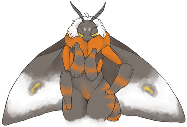 4_arms antennae_(anatomy) anthro bedroom_eyes black_body black_fur blush female fur half-closed_eyes insect_wings multi_arm multi_limb narrowed_eyes neck_tuft nude orange_body orange_fur seductive simple_background smile solo tuft white_background wings yellow_eyes unknown_artist arthropod insect lepidopteran moth source_request